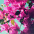 :iconmarcelafotografia: