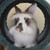 :iconmarcelleqb: