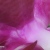 :iconmarchelloer: