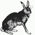 :iconmarcowyzajaczek: