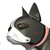 :iconmarcsenger: