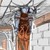 :iconmarcusdranz:
