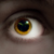 :iconmarcuskulik: