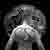 :iconmarcusx121: