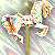 :iconMare-and-Bear: