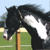 :iconmare-in-the-mist: