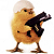 :iconmaren06: