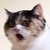 :iconmargalove:
