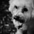 :iconmargaret-c: