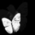 :iconmargatnep:
