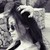 :iconmargitaa: