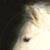 :iconmargot-no-silent-t: