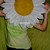 :iconmarguerite-verte: