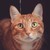:iconmargypargie: