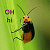 :iconmarhis: