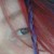 :iconmari-valara: