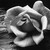 :iconmaria-art-1999: