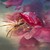 :iconmaria-magnific:
