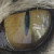 :iconmariahjean: