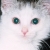 :iconmariakat: