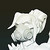 :iconmarian021093: