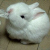 :iconmariatea: