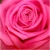 :iconmariavee:
