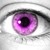 :iconmaricsnuppa: