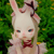 :iconmarie-anette: