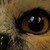 :iconmarie-lune19: