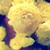 :iconmarie223: