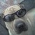 :iconmariechan3071: