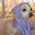 :iconmarif300:
