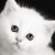 :iconmariigb: