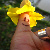 :iconmarijohanna: