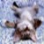 :iconmarika84: