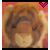 :iconmarikat: