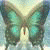 :iconmariks-stock:
