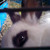 :iconmariliisaa: