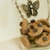 :iconmariloufrancisco: