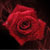 :iconmarilyndesign: