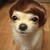 :iconmarimango: