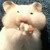 :iconmarinaliteyears:
