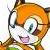 :iconmarine-raccoon-fans: