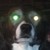 :iconmariokartexpert1: