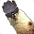 :iconmarioking9: