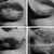 :iconmarion-morgenstern: