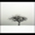 :iconmarionchain: