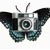 :iconmariposafotografia: