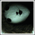 :iconmarisol-maryline: